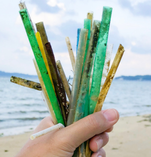 The Three Rs Pushing Consumers’ Eco-Friendly Carts